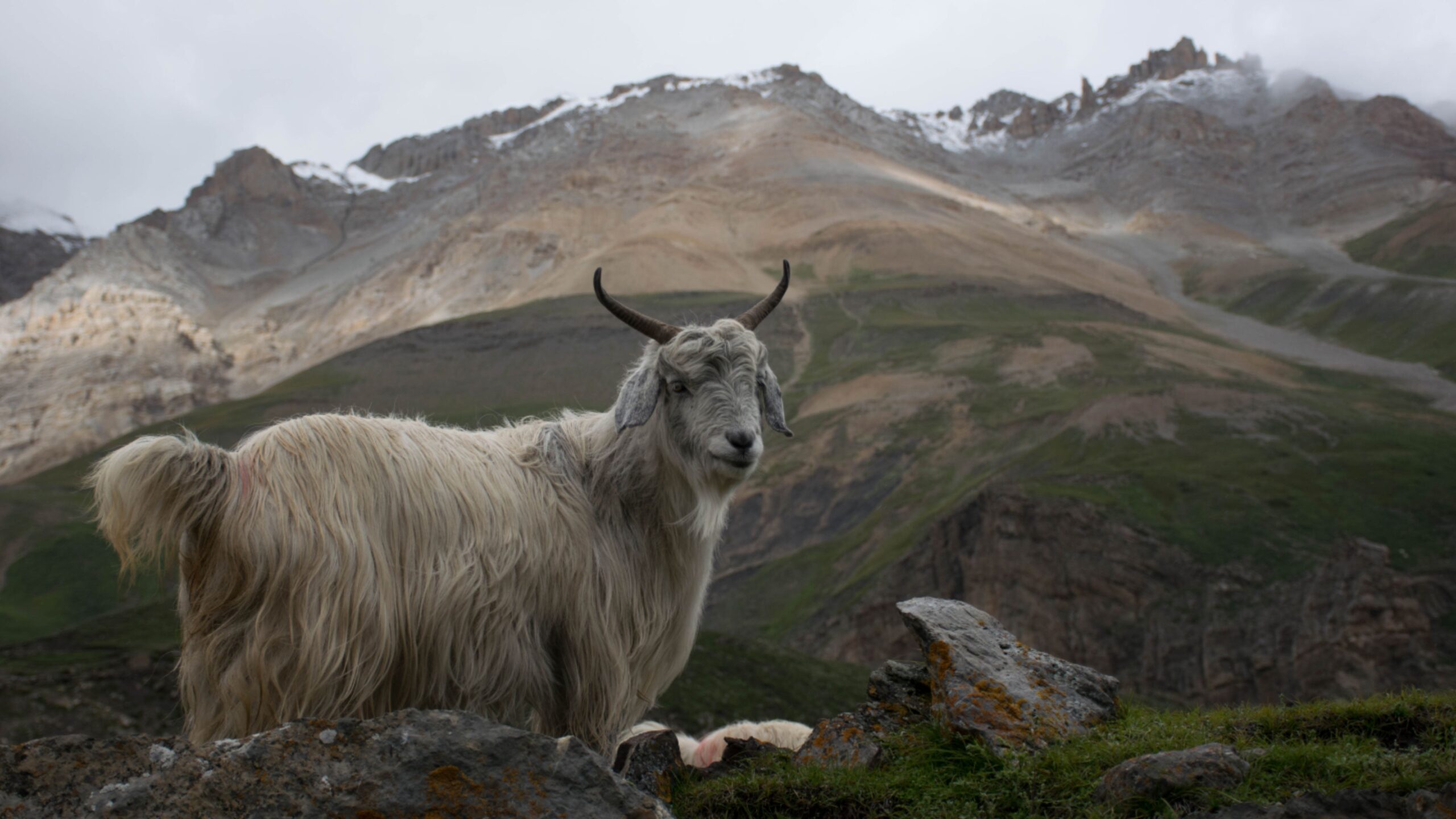 valleys of pithoragarh